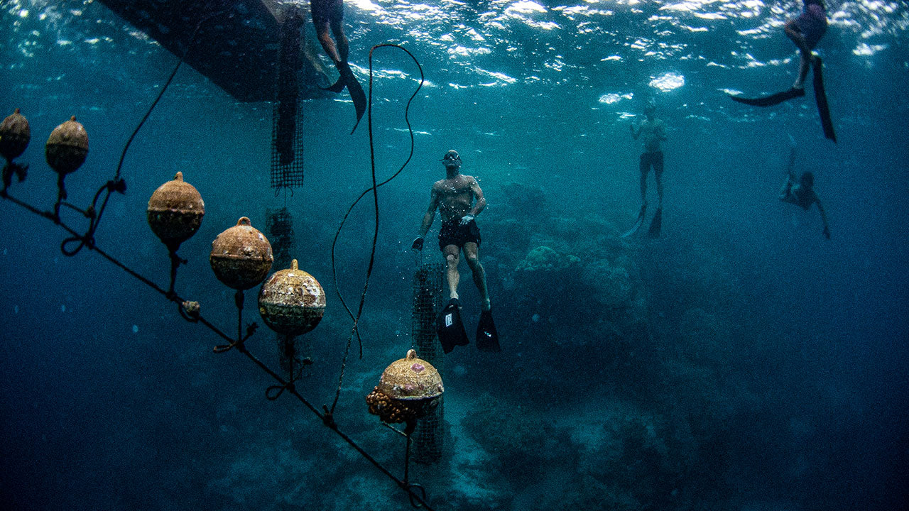 Jeff Johnson bei Kamoka Pearl Farms