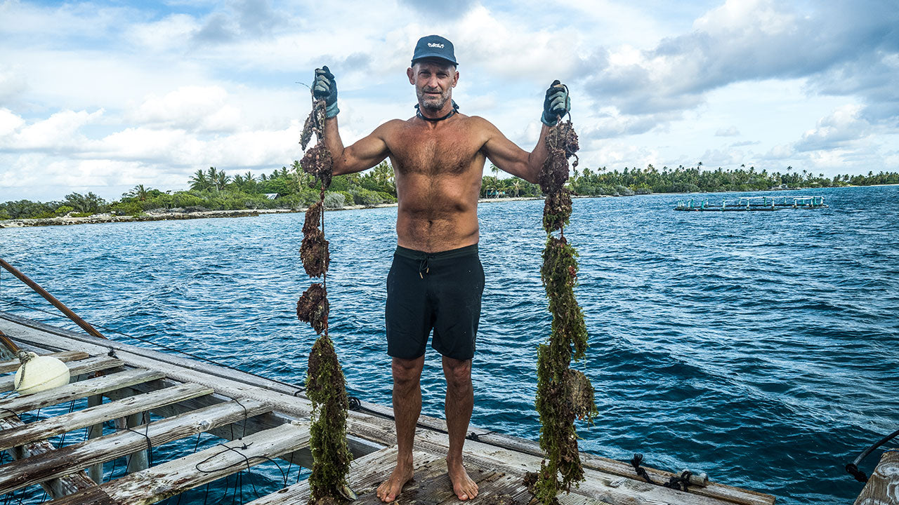 Surf Splendor: Jeff Johnson