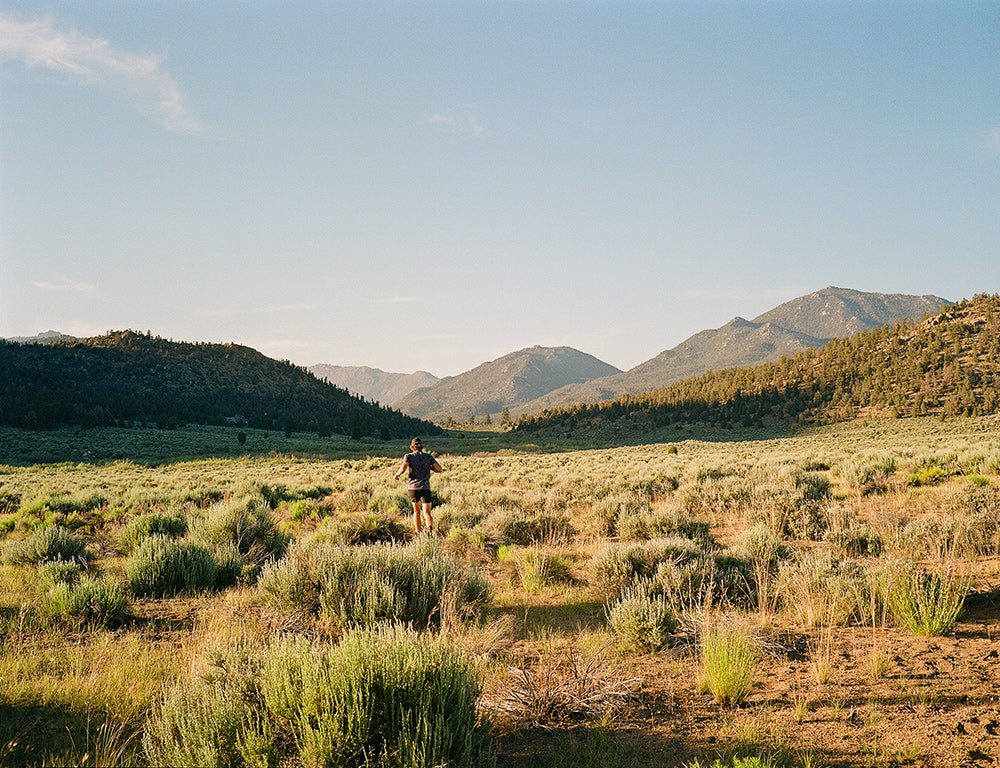 Roark_run_amok_spotify_playlist