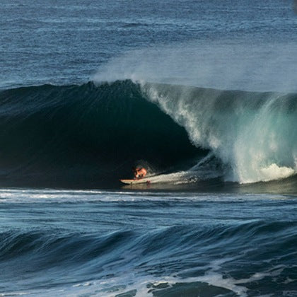 MIT DEN AUGEN VON ALE