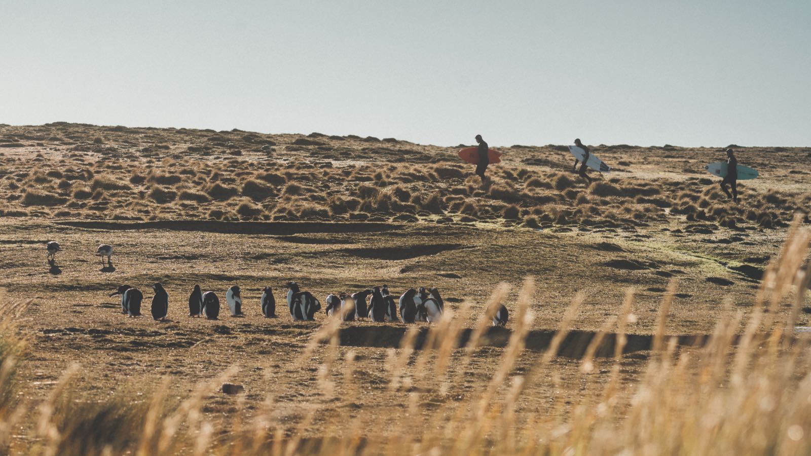 DER VERGESSENE ARCHIPEL