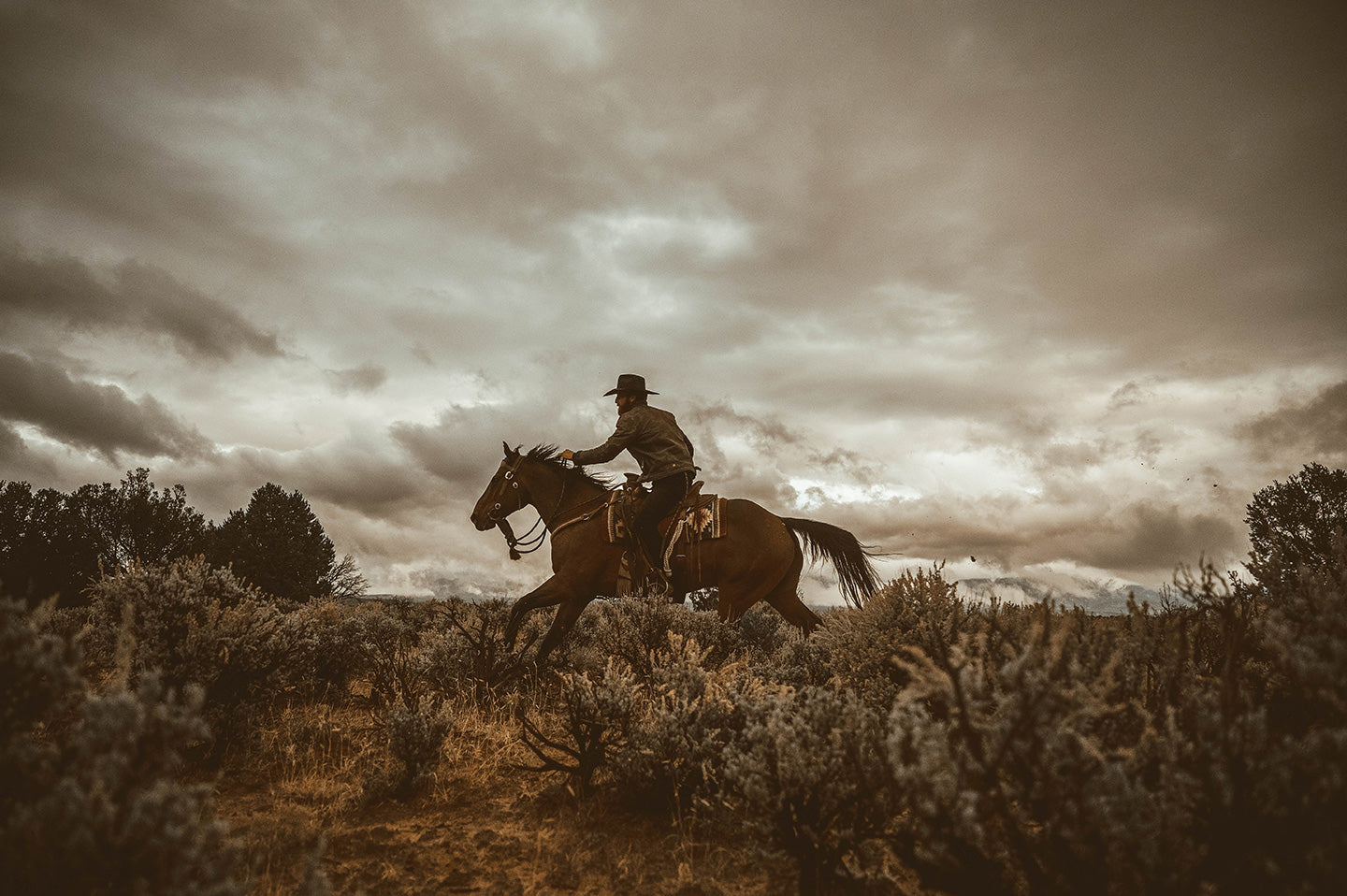 "Außerhalb der Reichweite" mit Wrangler