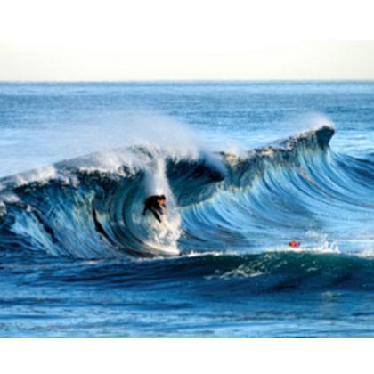 DIE SÜDLICHE HEMISPHÄRE ÖFFNET SICH FÜR DEN GESCHÄFTSVERKEHR!