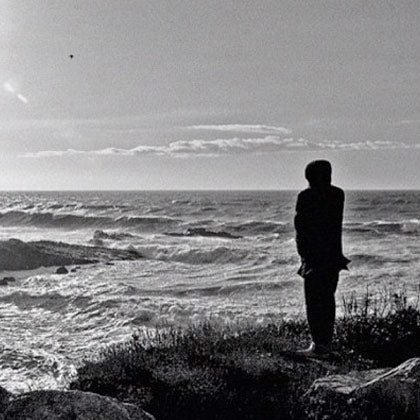 DAS MEER HASST FEIGLINGE