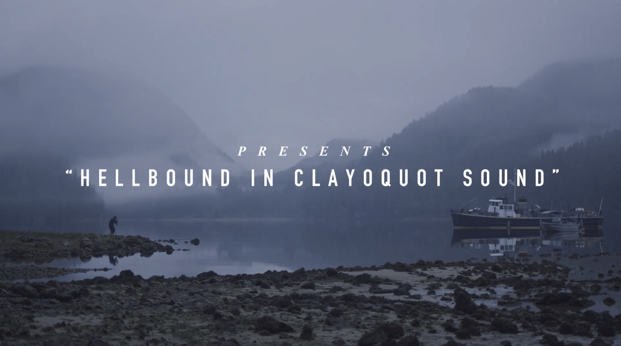 Vol 11: Kurzfilm "Hellbound In Clayoquot Sound