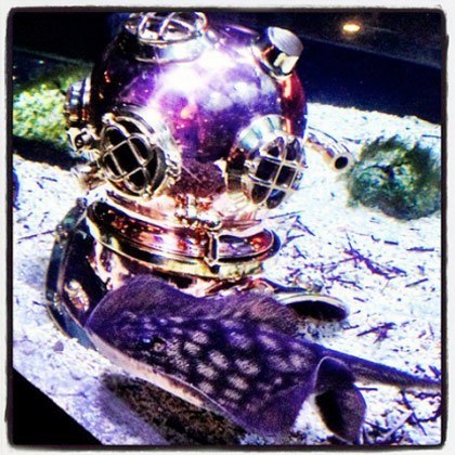 WHISKEY-GETRÄNKTER FEUCHTER MITTWOCH!