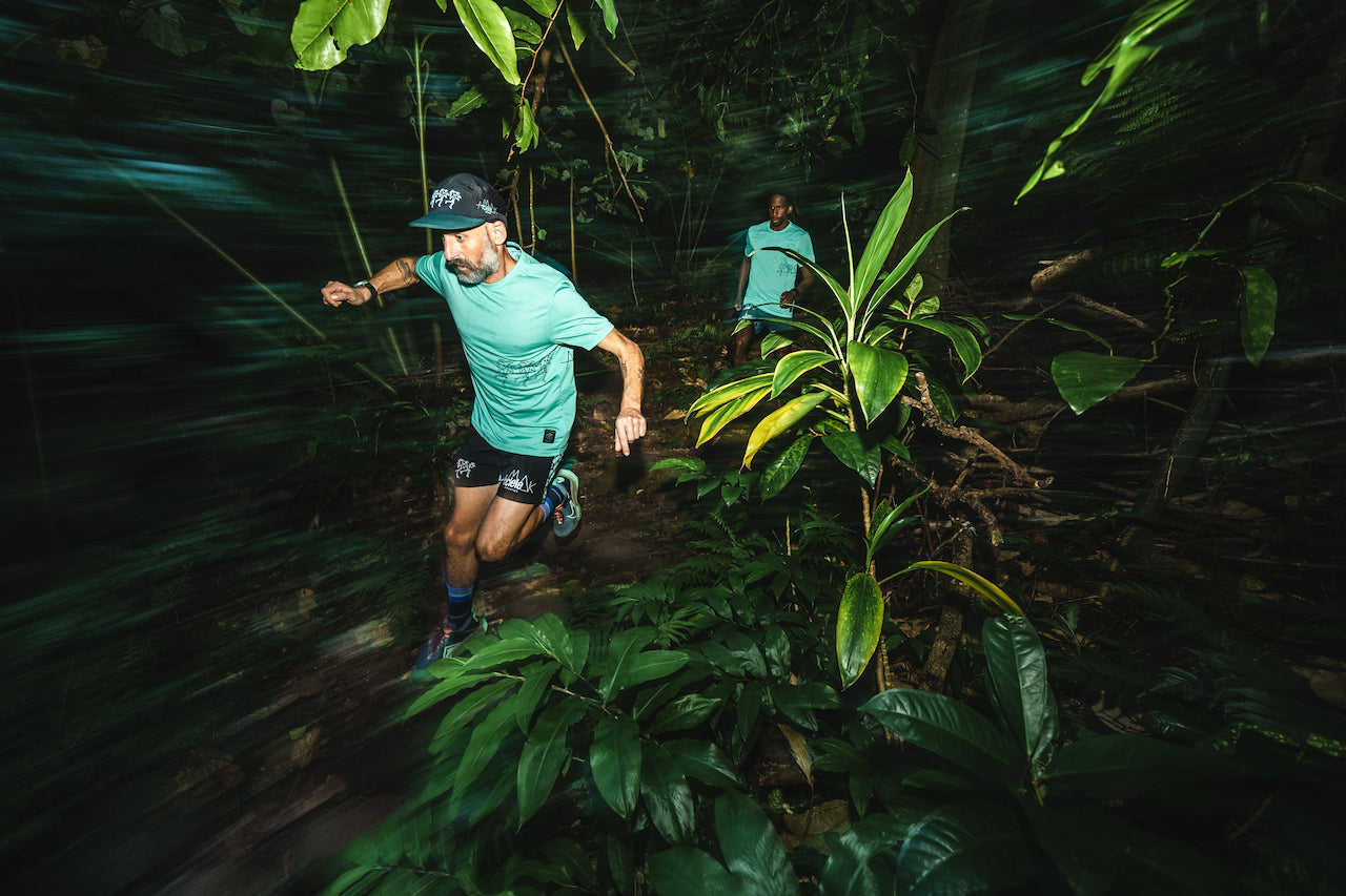 Die Schatten weisen den Weg