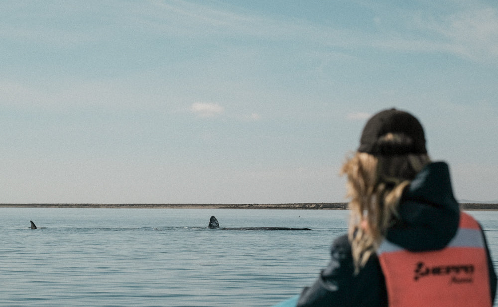 Zuflucht in einer abgelegenen Bucht