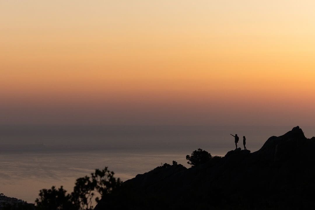 roark_womens_spring_24_collection