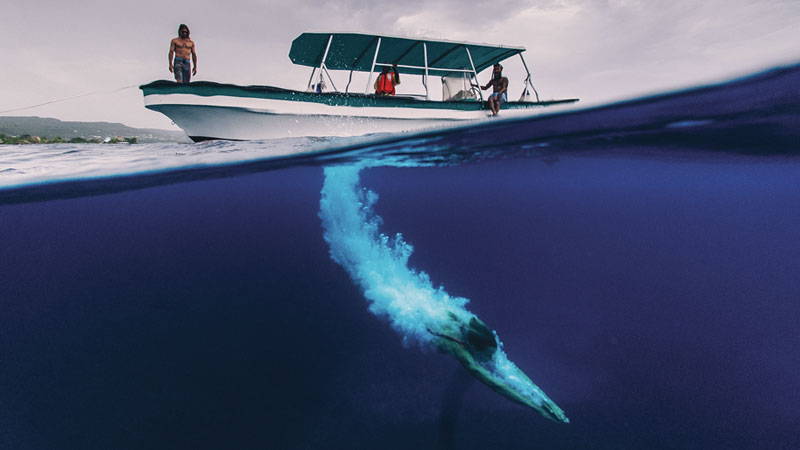 Oracabessa Fischheiligtum des Erweckers Jerry Ricciotti
