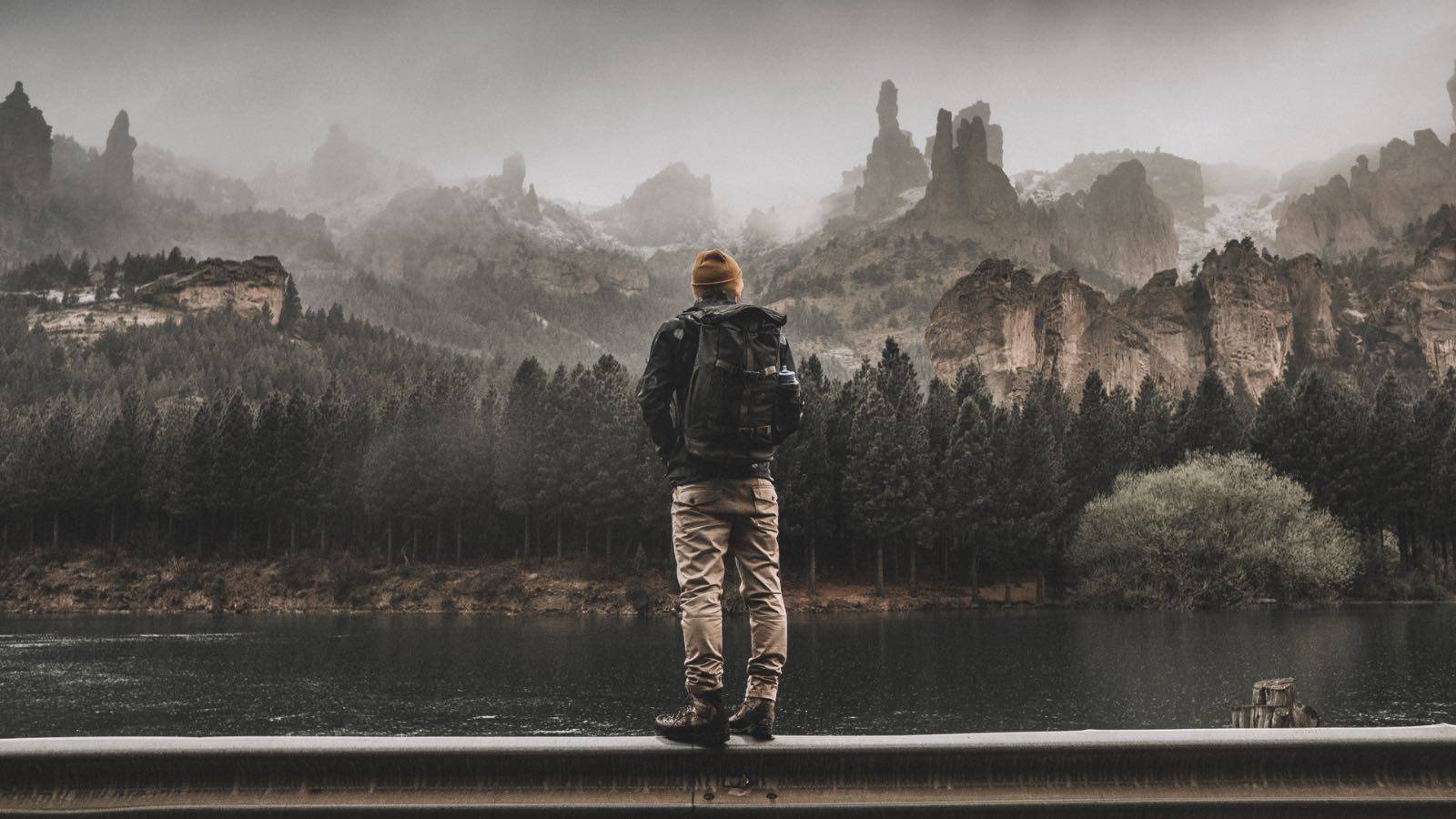 Band 15: "Vagabundos Del Carne"