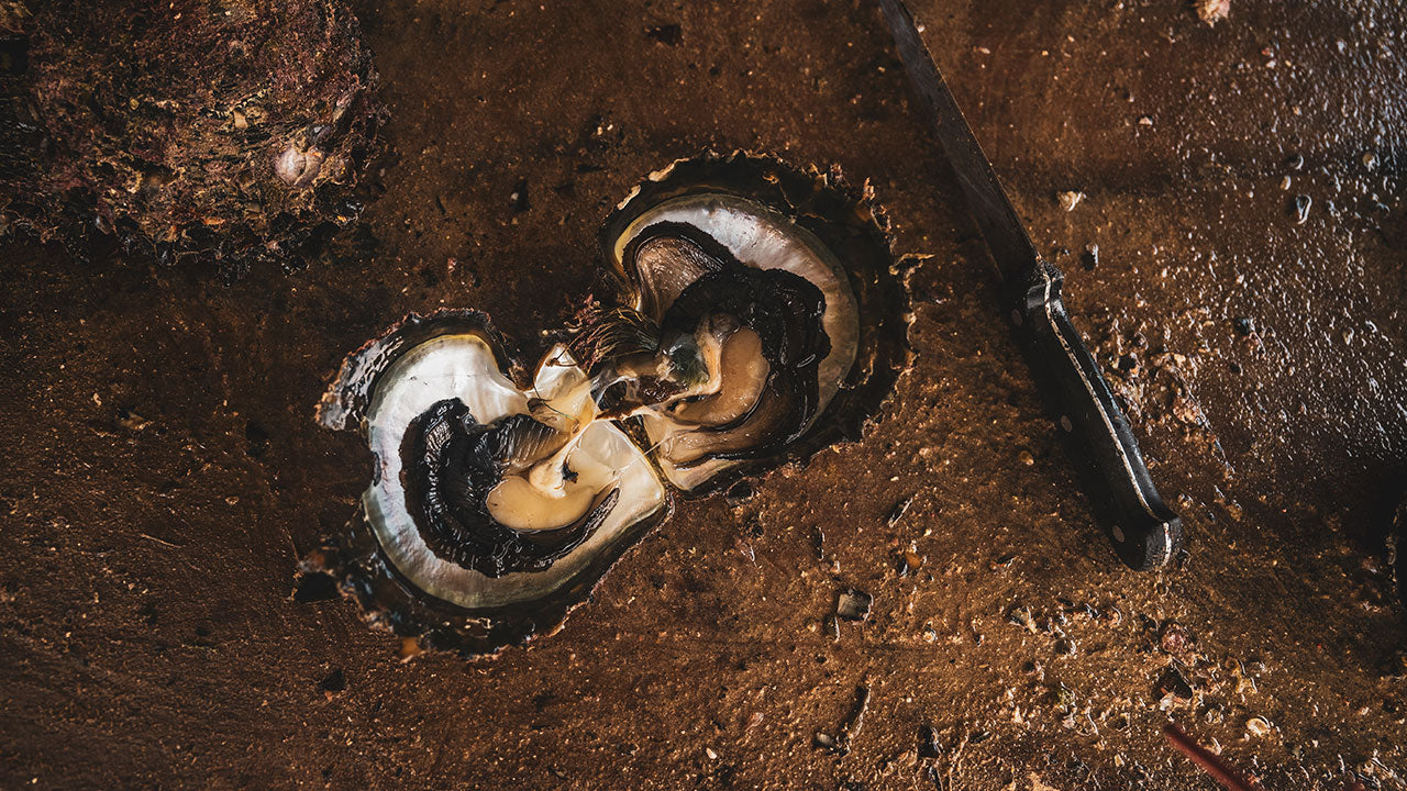 Atoll der schwarzen Perlen