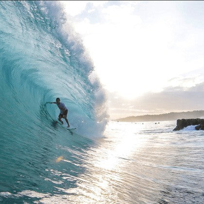 DER FRÜHLING IST DA!