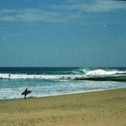 SUCHE NACH ROARK IN SRI LANKA