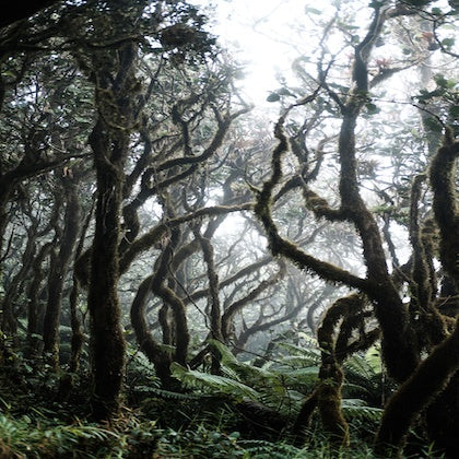 #TRIPLONGER WOCHE 2 GEWINNER