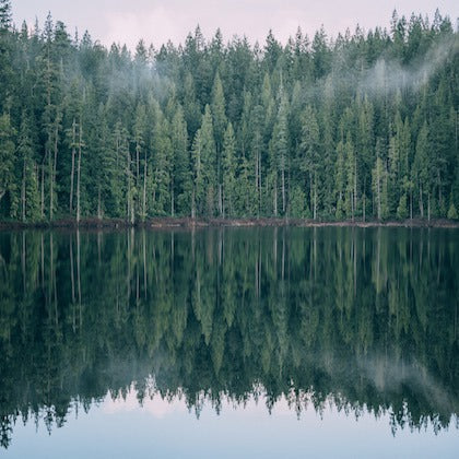 #TRIPLONGER WOCHE 4 GEWINNER